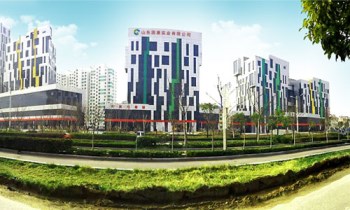 山东国康实业有限公司星空体育厂家