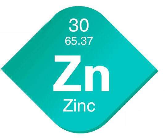 电化学星空体育?微量元素锌山东国康