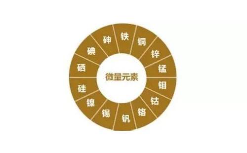 儿童微量元素检测仪检测重要微量元素?山东国康 儿童微量元素检测仪检测重要微量元素?山东国康