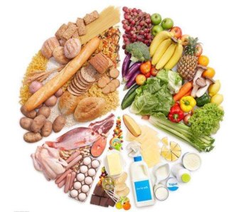 星空体育厂家讲述提高免疫力的方法?山东国康