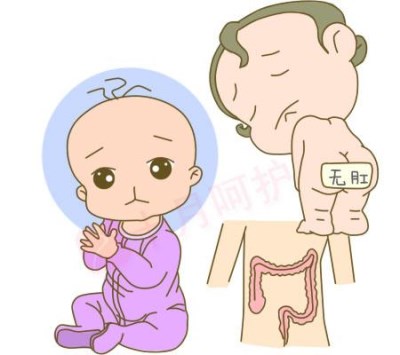 全自动星空体育之微量元素吸收障碍?山东国康