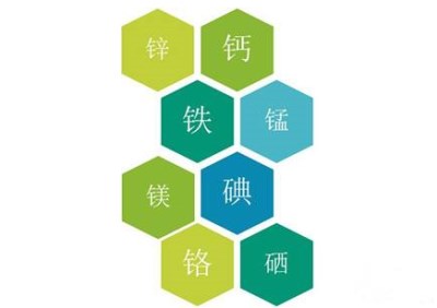 全自动星空体育解析微量元素免疫功能-山东国康