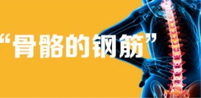 星空体育厂家浅析骨骼和微量元素钙的关系-山东国康