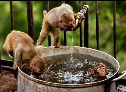 全自动微量元素检测仪分享夏日降暑降温,解暑护胃,应该要注意事项 全自动微量元素检测仪分享夏日降暑降温,解暑护胃,应该要注意事项