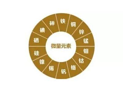 星空体育为什么夏天跑步没有几步就气喘吁吁是什么原因? 星空体育为什么夏天跑步没有几步就气喘吁吁是什么原因?