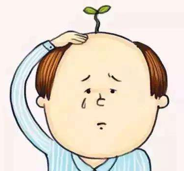 微量元素检测仪分析男性脱发缺什么微量元素 微量元素检测仪分析男性脱发缺什么微量元素