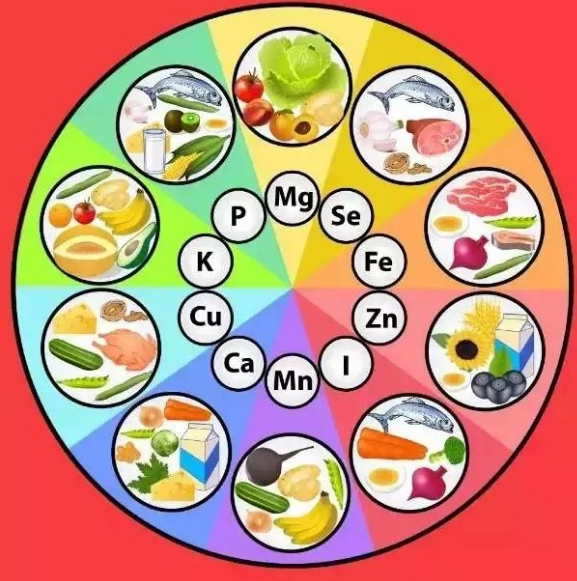 为什么要采用星空体育对微量元素做检查? 为什么要采用星空体育对微量元素做检查?