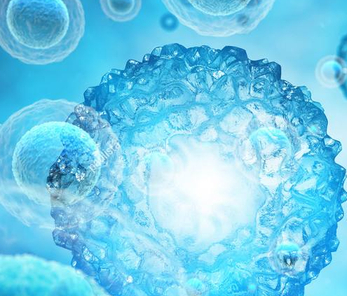 微量元素检测仪品牌山东国康分析微量元素需要空腹吗？