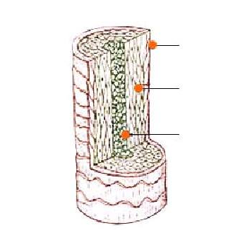 微量元素测试仪厂家剖析微量元素对秀发的影响 微量元素测试仪厂家剖析微量元素对秀发的影响