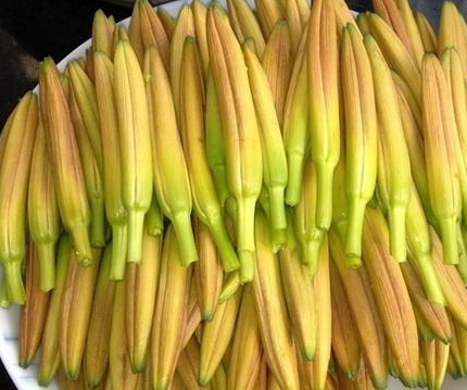 秋冬季节【星空体育】厂家国康分析富硒黄花菜，明目养颜，比核桃还补脑！