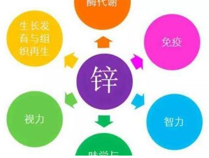 医用人体[星空体育]品牌国康提示孕妈缺锌影响宝宝智力！