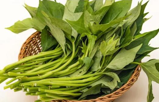 微量元素检测仪品牌推荐女人贫血能吃这物,含丰富的微量元素 微量元素检测仪品牌推荐女人贫血能吃这物,含丰富的微量元素