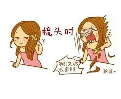 拿来吧你| 全自动星空体育缺乏这些微量元素会导致脱发哦!